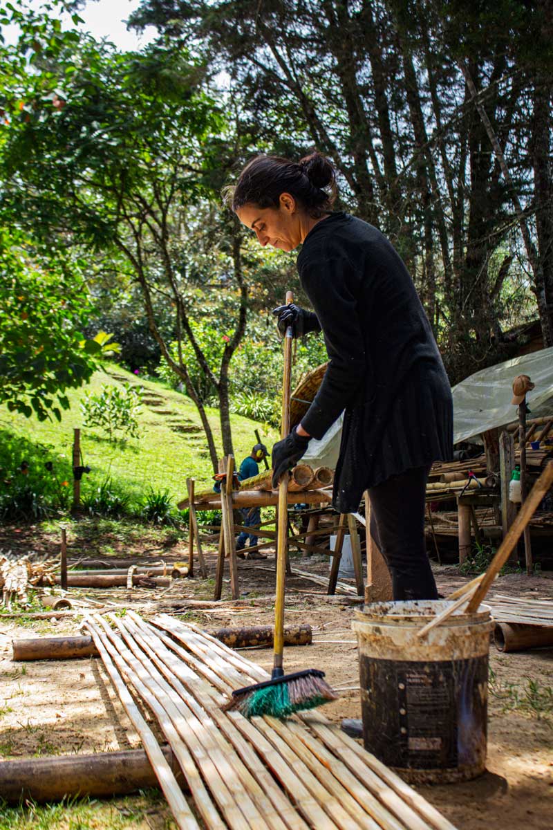 Preparación de guadua para la construcción